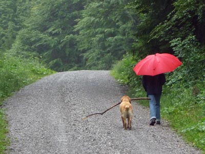 women with red umbrella and dog in rain
