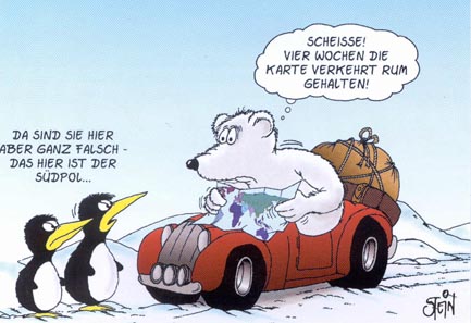 eisbaer mit karte