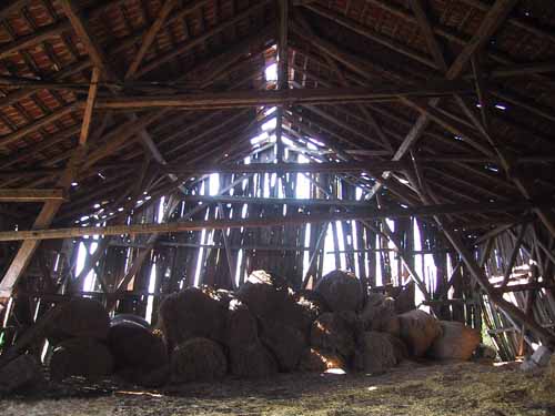 the horror in the barn