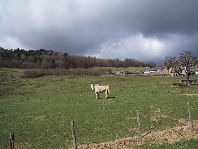 The horse in Glux-en-Glenne probably got its <i>Gnadenbrot</i>.