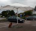 Dog, rain, umbrella